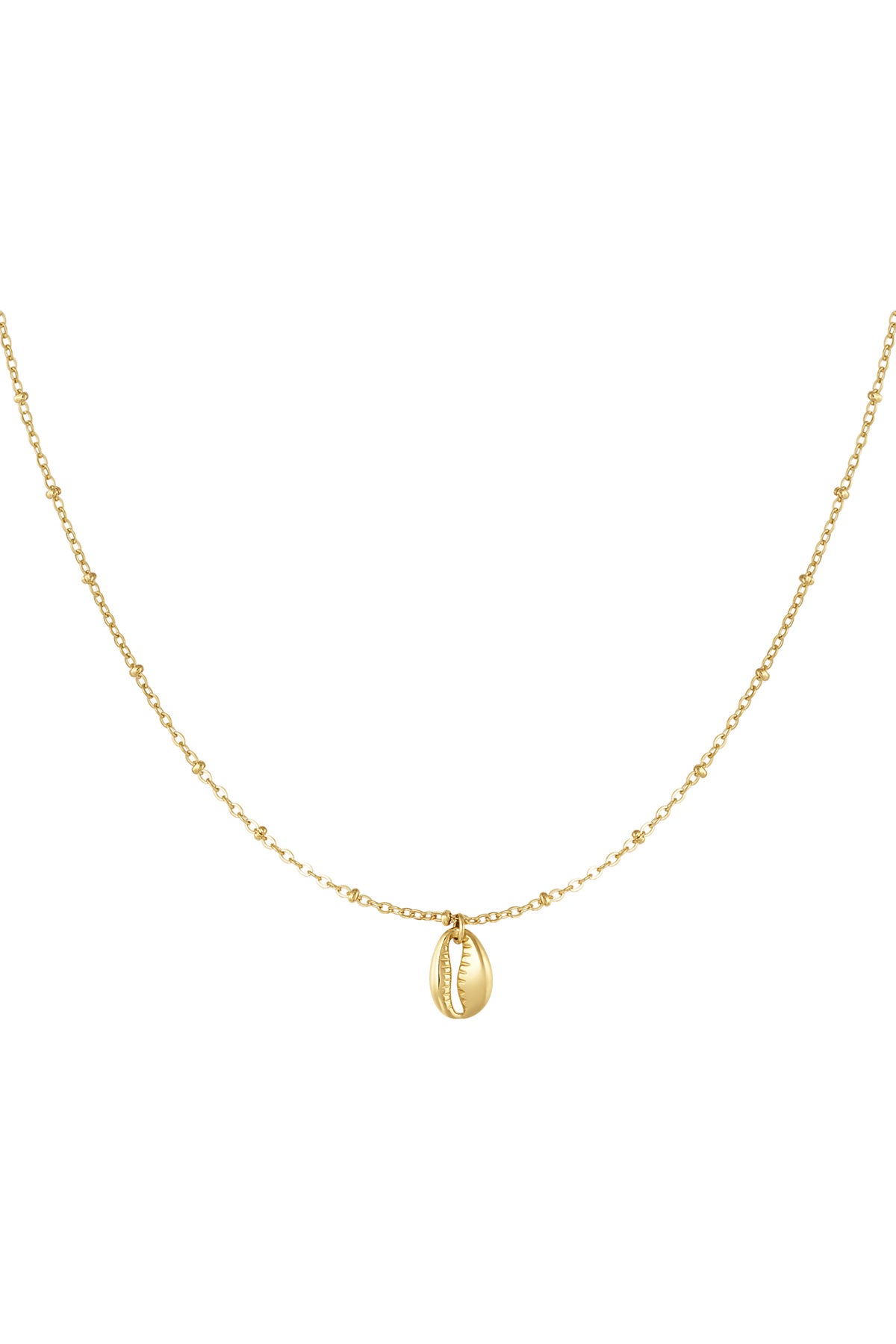 Bedelketting met schelp - goud